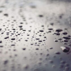 Damp proofing quote