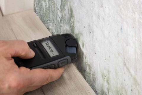 Damp Surveys in The North East