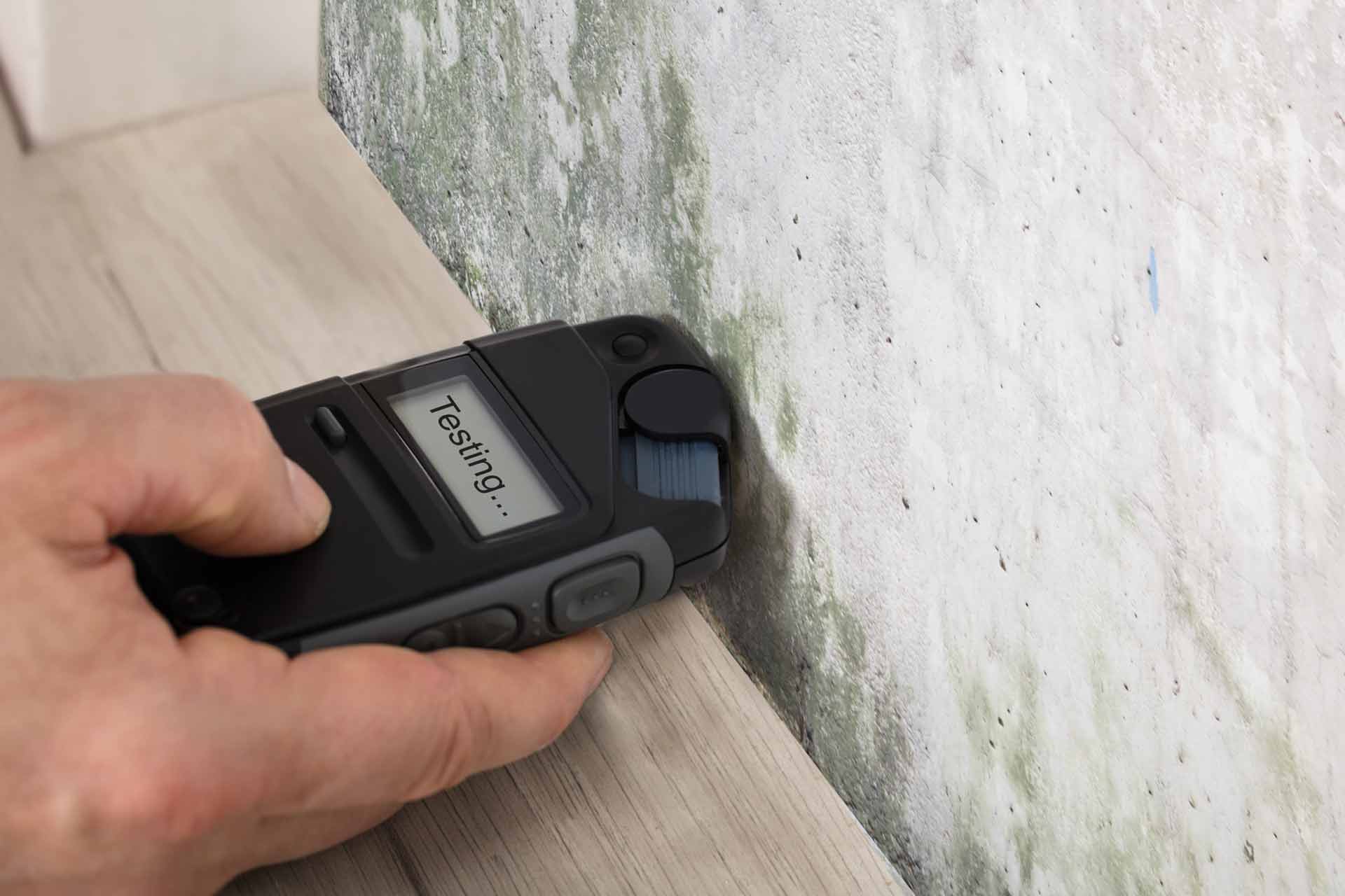 Damp Surveys in The North East