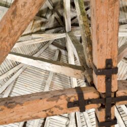 Free Timber Survey in The North East