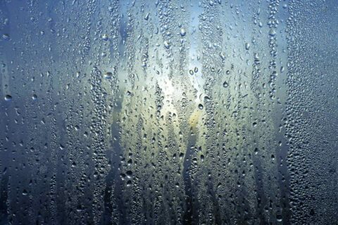Condensation Treatment in The North East