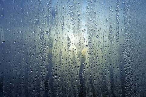 Black Mould Condensation Surveys in The North East