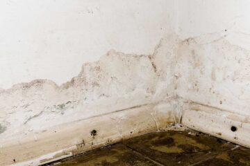 Rising Damp in The North East