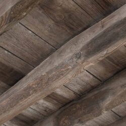 Timber Surveys in The North East