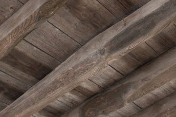 Timber Surveys in The North East