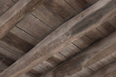 Timber Surveys in The North East