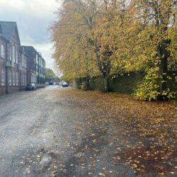 Park View School Chester Le Street Durham