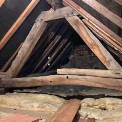 woodworm in beams