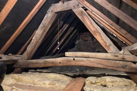 woodworm in beams