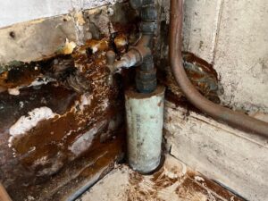 Damaged by damp 