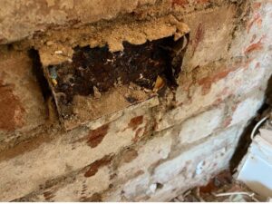 Resized sockets The North East