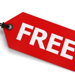 Free Damp Survey