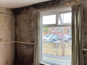 Mould in property