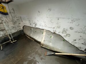 penetrating damp from a basement leak