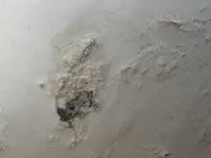 Bubbling plaster caused by penetrating damp in a North East England home, showing wall damage from water ingress
