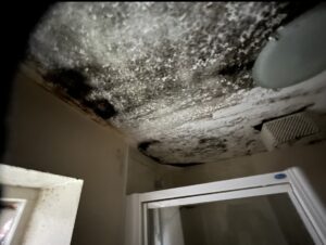 Mould on bathroom ceiling caused by poor ventilation and condensation, common in UK homes