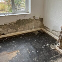 penetrating damp, wall damage, North East England, water ingress