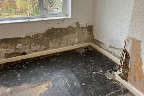 penetrating damp, wall damage, North East England, water ingress