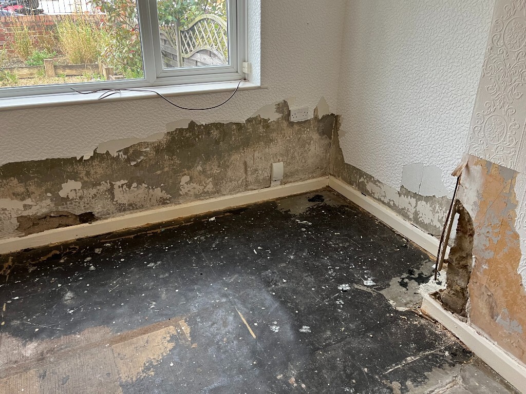 penetrating damp, wall damage, North East England, water ingress