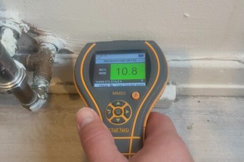 Damp Survey showing no damp on the walls