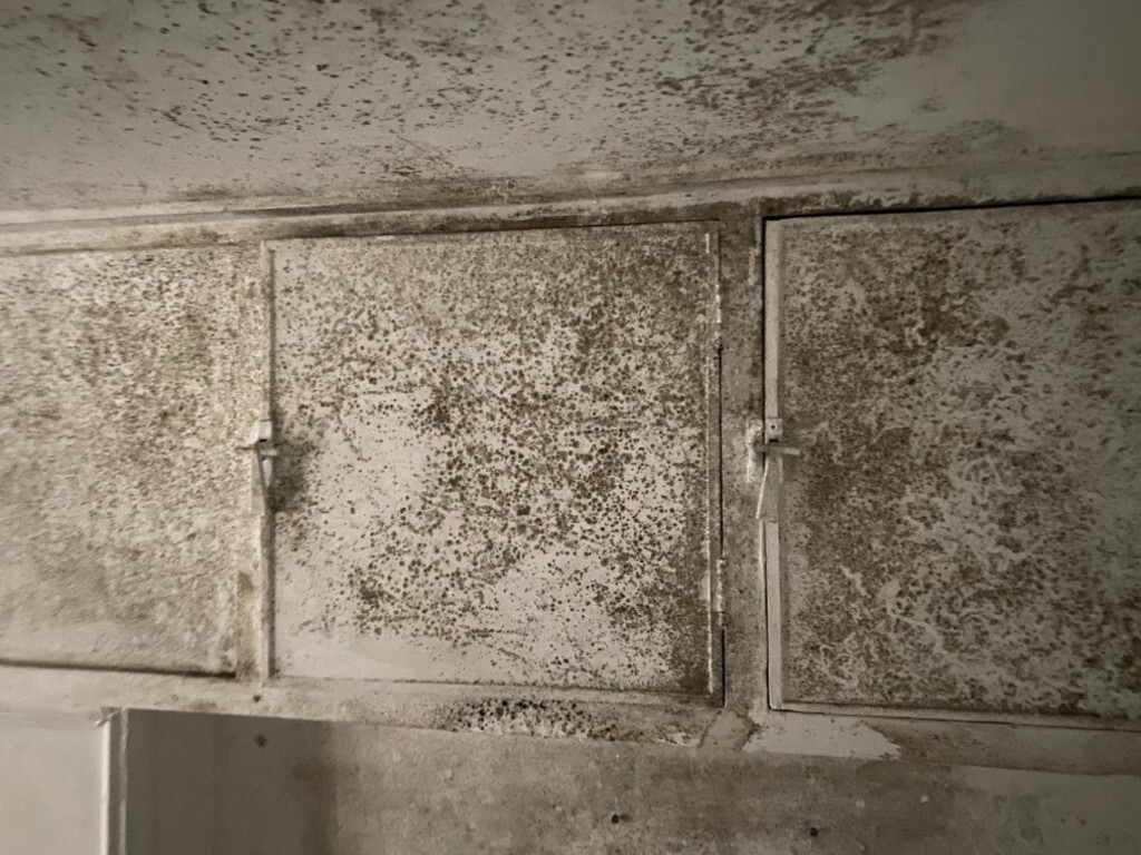 Damp in rental properties North East